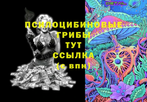 ПСИЛОЦИБИНОВЫЕ ГРИБЫ Абдулино